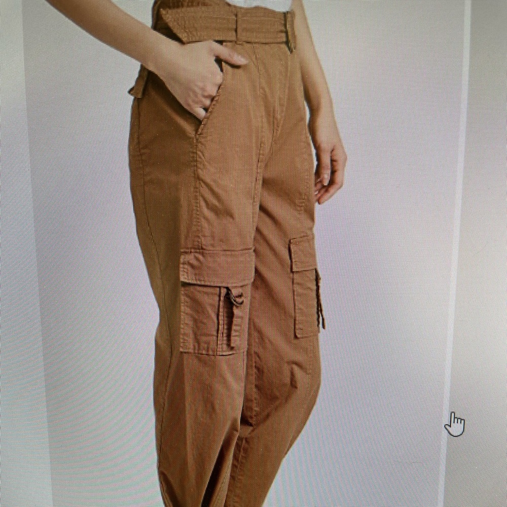 Pistola Nadine belted cargo pants